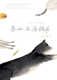 青梧慕玑小说免费阅读
